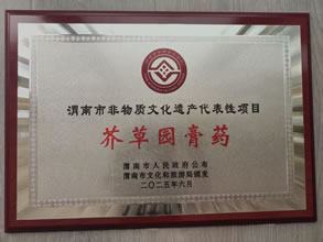 渭南市非物质文化遗产